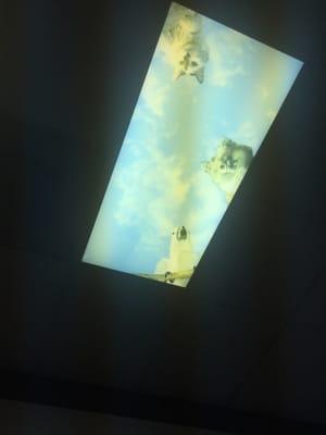 Awesome ceiling light