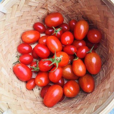 Johnson's Cleaning Service