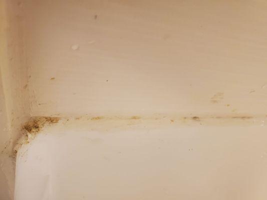 Holiday Inn Express & Suites Baltimore - BWI Airport North