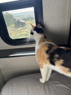 Home and enjoying the morning sun and sights