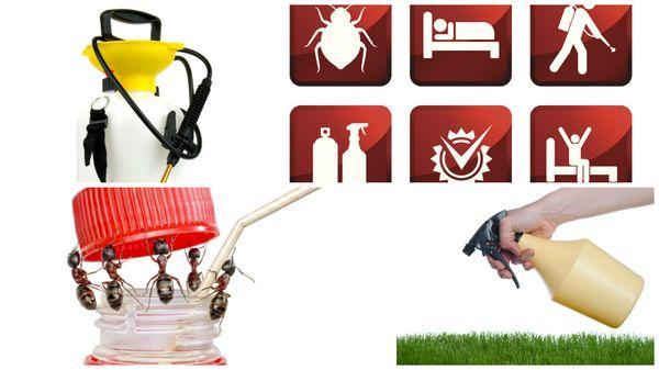 Pest FX Pest Control in Sandusky