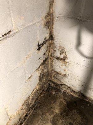 Big mike painting and maintenance