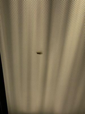 Cockroaches, one small example but they literally swarm out of the vents.