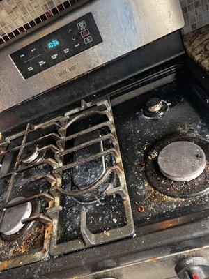 Gloves Cleaning Service