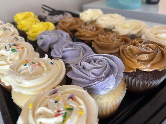 Sweet Little Sunshine Delights