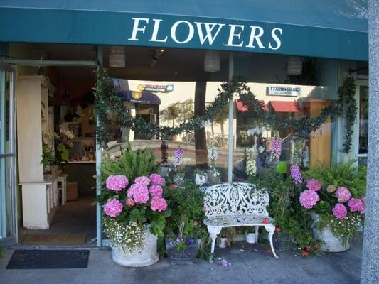 Our cute little shop