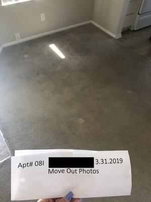 Spring Lakes Apartment Homes