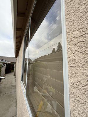 LemonSqueezy’s Window Cleaning