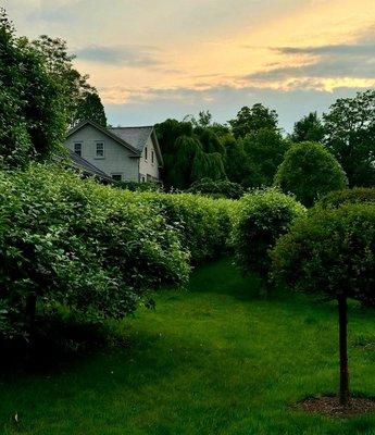 Gorgeous grounds of Martha's Bedford estate - 6/8/2025
