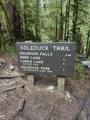 Sol Duc Falls