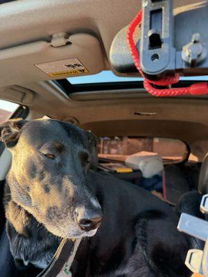 Pet Supply Warehouse