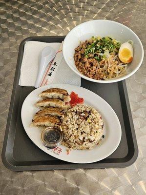 Mezemen with Gyoza and Fried Rice