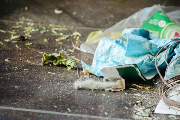 The Walton’s Cleaning Agency