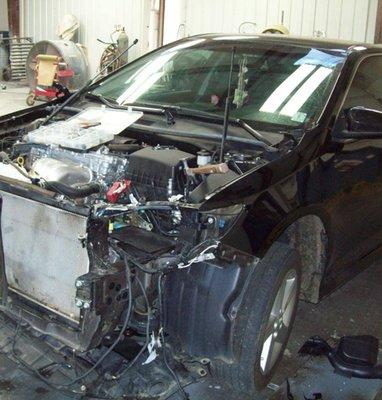 Strickland's Body & Paint