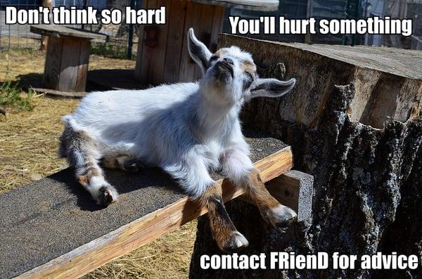 Friends of the Roy City Library