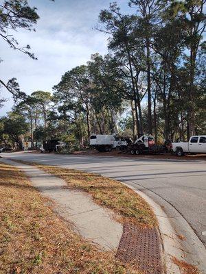 White's Tree Service