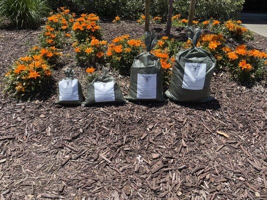 Clean Dirt Worm Castings