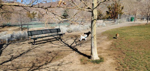 Benches, garbage, fenced.
