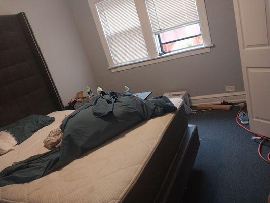 Lizzy's Cleaning Services