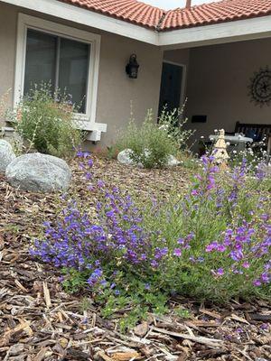 The Grass Is Always Greener Designs