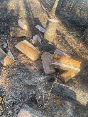 Up All Night Coning and Trash Removal