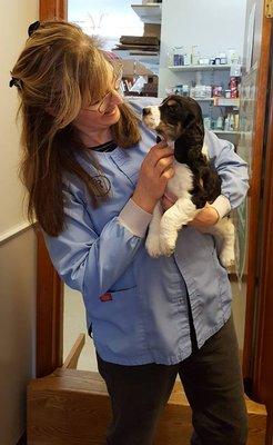 Stoney Corners Veterinary Service