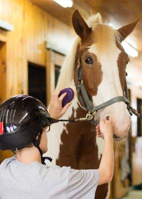 Hidden Acres Therapeutic Riding Center