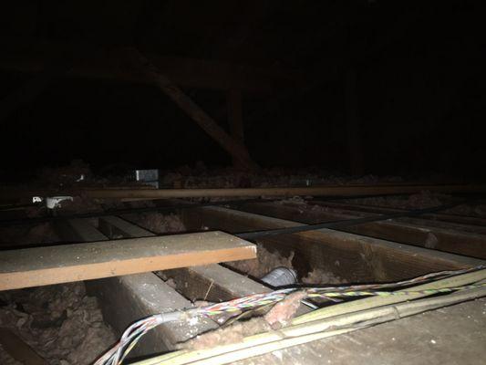 Attic above my unit with no insulation and mold damage.