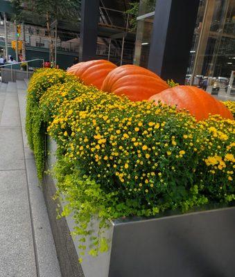Consulate General of Japan in New York
