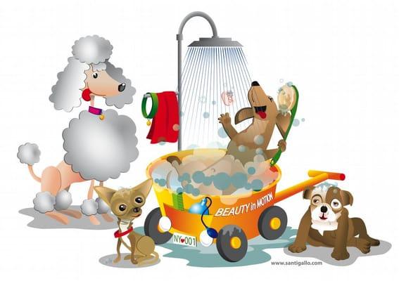 Beauty In Motion Mobile Dog Grooming