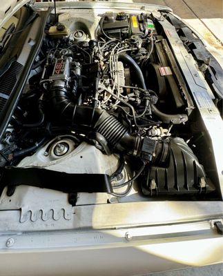 Shine Luxe Mobile Detail