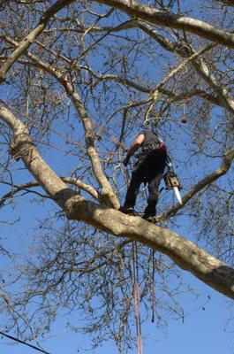 GruntStyle Lawncare & Landscaping