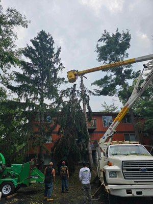 LNS Excavating & Tree Service