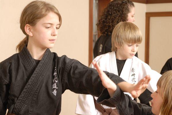 Colorado Academy of Martial Arts
