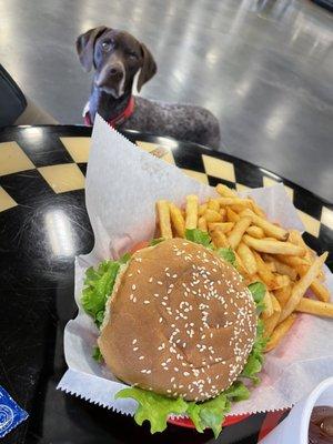 My dog checking out my loaded chicken sandwich