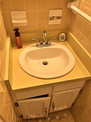 Earline Dale & Alisha Floyd Sister n Sister Cleaning Services