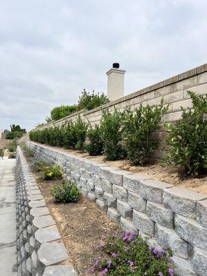 Planter beds about 50 foot run.