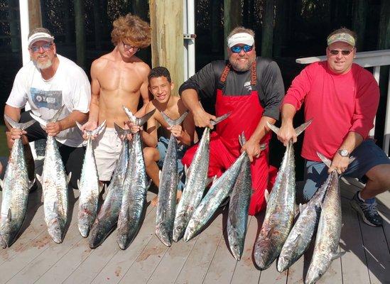 Kingfish mania