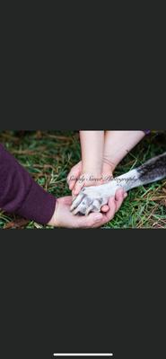 Simply Sweet Photography