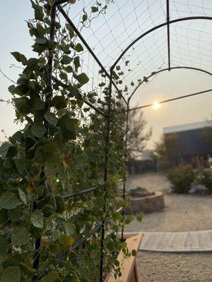 Sierra Nevada Yard Care