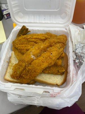 Lake trout and catfish