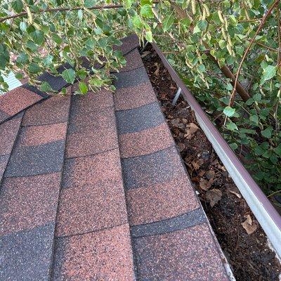 Zach's Window & Gutter Cleaning Services