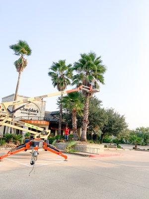 Cleanup for Cheddar's!