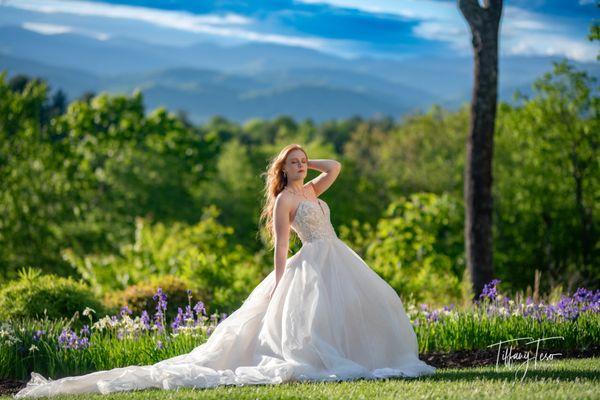 Tiffany Teso Photography