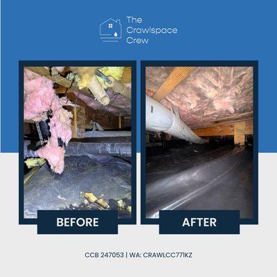 Our team restored this crawlspace after rodents contaminated it!