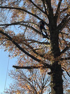 Getting this dangerous job done