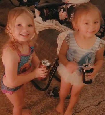 School of Fish Swimming