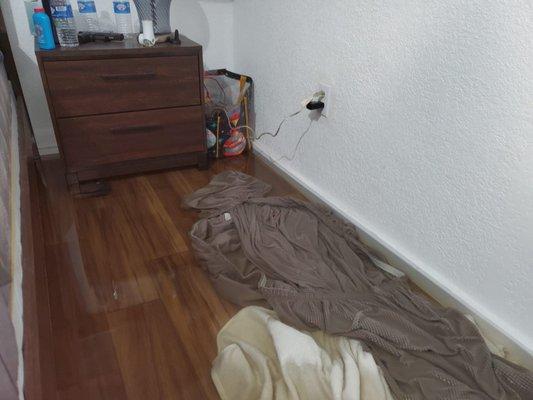 Nation Claim Services