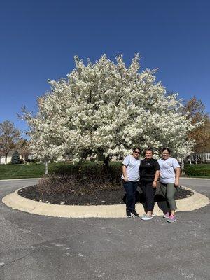 Fast Solutions Cleaning