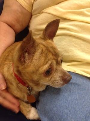 Two Notch Road Animal Clinic